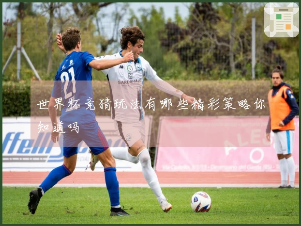 世界杯竞猜玩法有哪些精彩策略你知道吗
