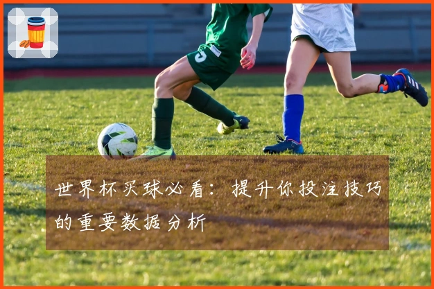 世界杯买球必看：提升你投注技巧的重要数据分析