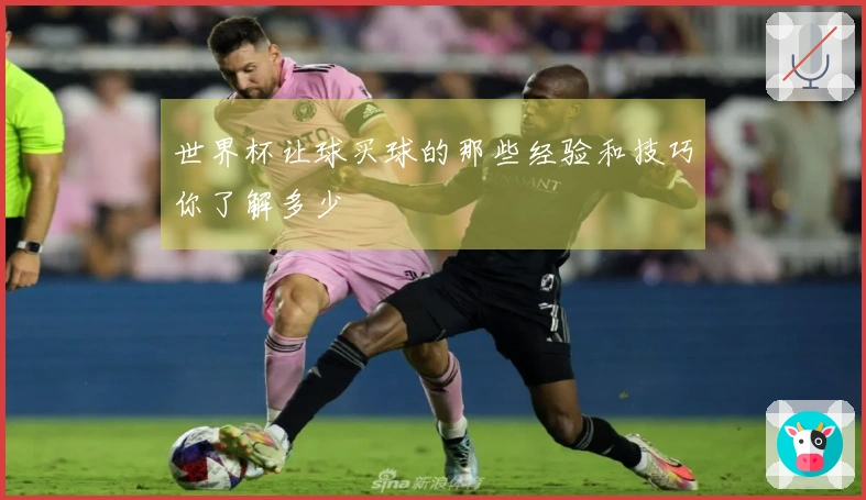 世界杯让球买球的那些经验和技巧你了解多少