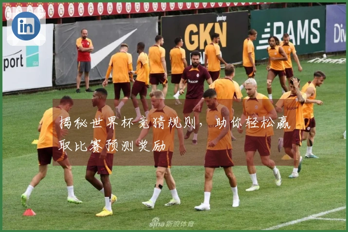 揭秘世界杯竞猜规则，助你轻松赢取比赛预测奖励